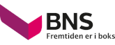bns logo